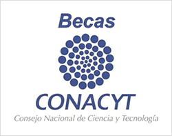 Becas CONACyT